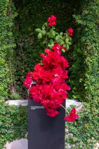 DSCF0377