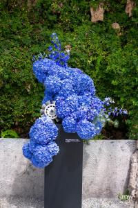DSCF0378